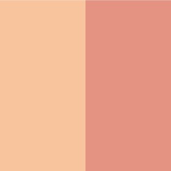 essence in the bloom'light lichid fard ochi duo - imagine 3
